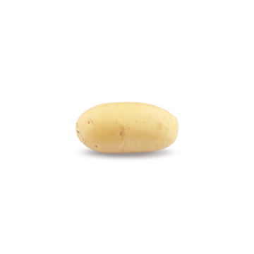 ビンテージ　作家　unknown golden potato object Triple7 › HZPC